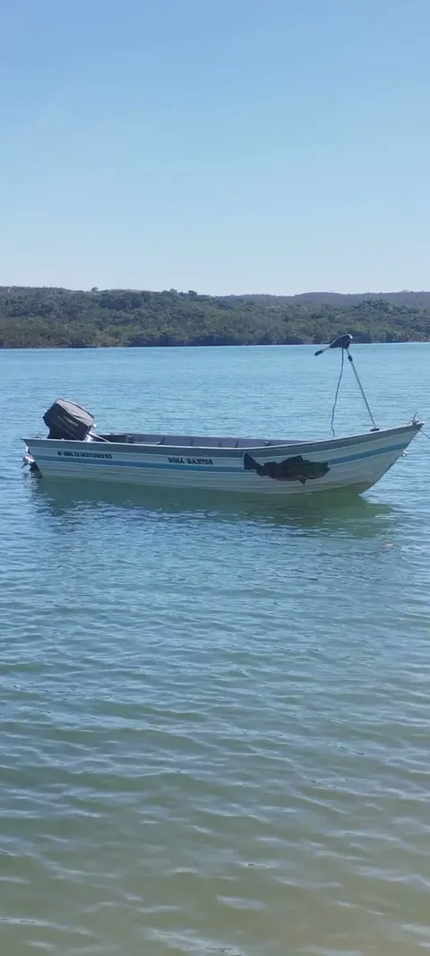 Capa do vídeo: O barco no lago